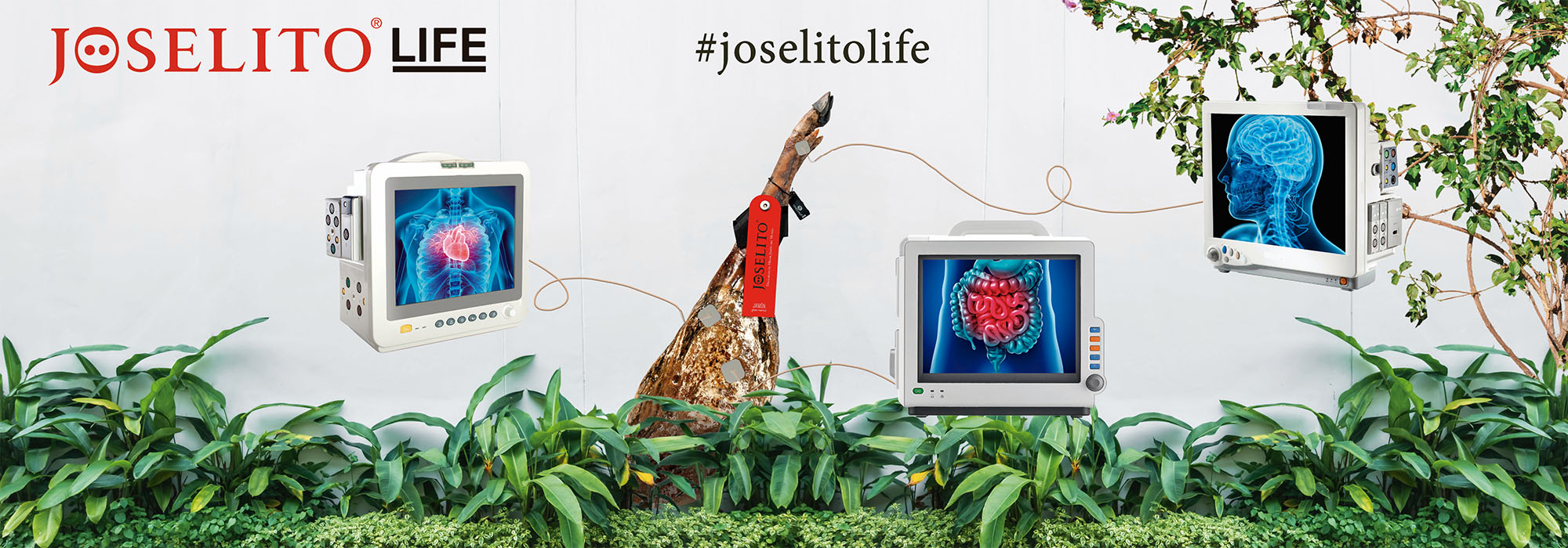 Joselito Vinilo 1